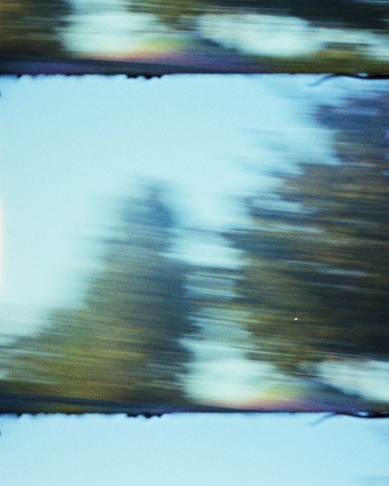 Fine Art Print: Verwischte Bäume in Bewegung vor hellem Himmel, Filmkanten